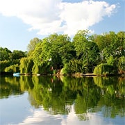 residence